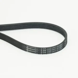 Kup teraz Pasek klinowy wielorowkowy CONTINENTAL CTAM CON 5PK775 ELAST